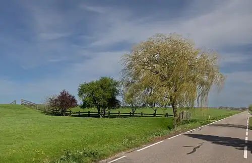Waddixveen, les arbres sur la digue près de l'Onderweg