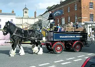 UDeux chevaux noirs vus de profil tractent un gros chariot sous le soleil.