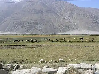 Vallée fertile du Corridor.