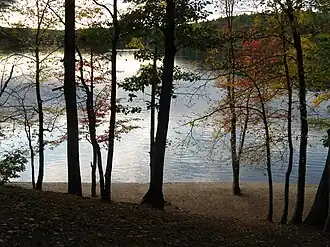 L'étang de Walden en octobre. Quelques arbres aux feuilles jaunies ou rougies apparaissent devant une perspective de l'étang de Walden.