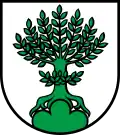 Blason de Buchs