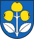 Blason de Schattdorf