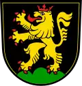 Blason de Heidelberg