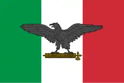 Drapeau de la République sociale italienne, plus utilisé par les néofascistes que par les néonazis.