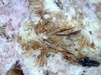 Image illustrative de l’article Warwickite