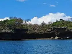 L'île est située sur un récif de corail fossile, qui se voit bien le long des côtes.