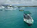 Bateau-taxi dans le port de  Puerto Isidro Ayora, sur l'île Santa Cruz aux Galápagos.
