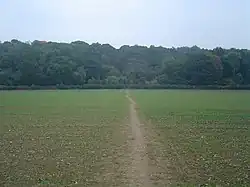 Une plaine et une forêt.