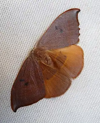 Description de cette image, également commentée ci-après