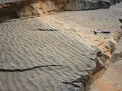 Rides de vagues observées dans un grès carbonifère près de Kilkee (Irlande)