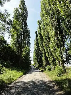 La route d'accès au carreau.