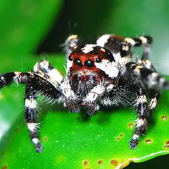 Description de cette image, également commentée ci-après