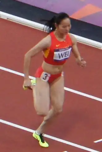 Image illustrative de l’article Wei Yongli