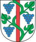 Blason de Weinfelden