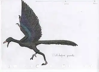 Description de cette image, également commentée ci-après