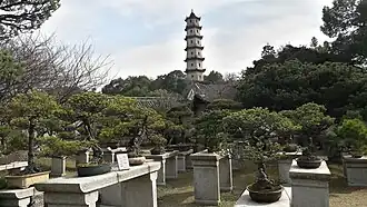 Jardin des penjing et tour de pagode en arrière-plan.