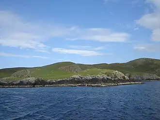 Image illustrative de l’article Papa Little