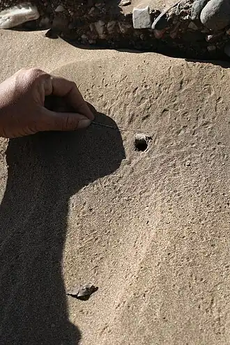 Description de cette image, également commentée ci-après