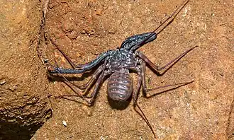 Description de cette image, également commentée ci-après