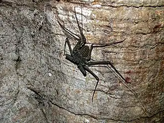 Description de cette image, également commentée ci-après