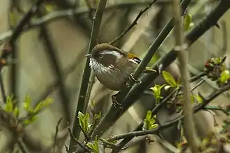 Description de cette image, également commentée ci-après