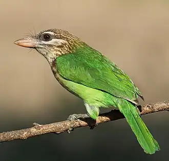 Description de cette image, également commentée ci-après