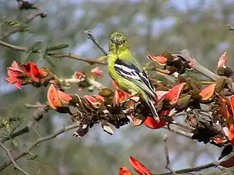 Description de cette image, également commentée ci-après