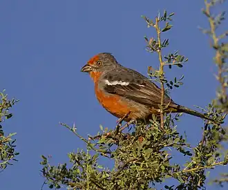 Description de cette image, également commentée ci-après