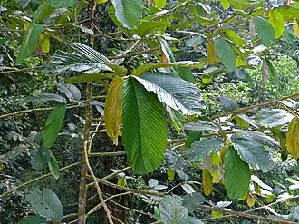 Description de cette image, également commentée ci-après