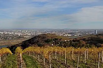 Vue du Burgstall depuis l'Eisernen Hand.