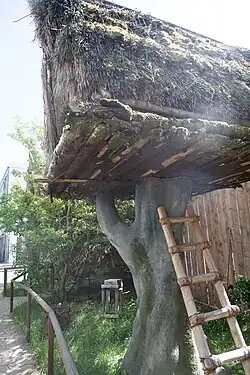 Façade d'une petite maison au mur blanc, avec une petite porte en bois, deux petits fenêtres de part et d'autre, et un toit en paille.
