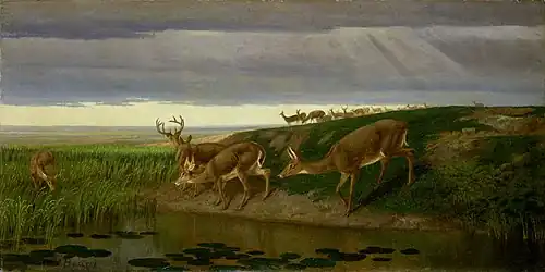 Deer on the Prairie, 1884, Buffalo Bill Center of the West
