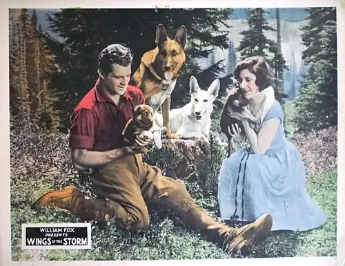 Description de l'image Wings of the Storm lobby card.jpg.