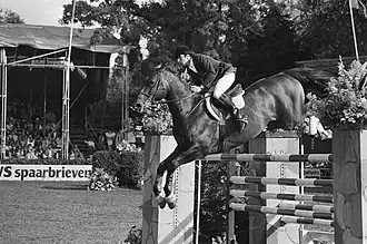 Image illustrative de l’article Gilles Bertran de Balanda