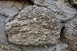 photographie montrant un caillou de près