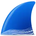 Description de l'image Wireshark icon new.png.