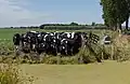 Woerdense Verlaat, les vaches dans le pâturage