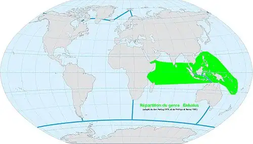 Répartition mondiale du genre Enhalus (adapté de den Hartog 1970, et de Phillips et Menez 1988).