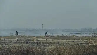 Wuchang (Heilongjiang)