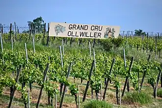 Image illustrative de l’article Ollwiller