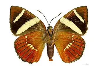 Description de cette image, également commentée ci-après