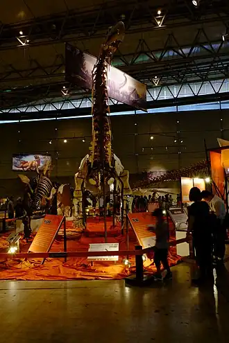 Description de l'image Xianshanosaurus skeleton.jpg.