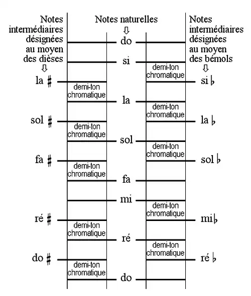 Echelle diatonique et notes intermédiaires.