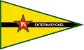 Drapeau du Bataillon international des YPG.