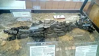 Description de cette image, également commentée ci-après