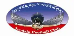 Logo du Yeedzin FC