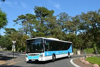 Image illustrative de l’article Yégo