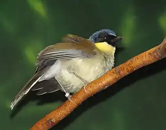 Description de cette image, également commentée ci-après