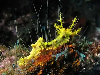 Description de cette image, également commentée ci-après