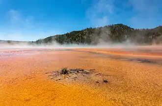 Grand Prismatic Spring.